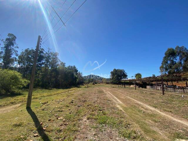 Terreno para Venda em Bragança Paulista - 5